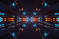 刺猬吃瓜痕迹,探寻自然界的奇妙故事