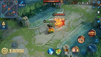 峡谷吃瓜群众稀有度,揭秘稀有度爆表的吃瓜群众传奇