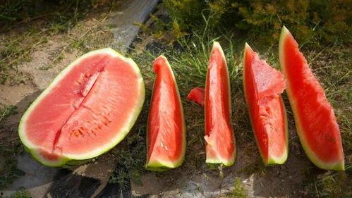 偃师市吃瓜,瓜果飘香里的美食之旅