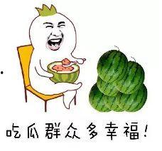 欢迎来瓜地吃瓜的句子,邀您共享夏日清凉美味
