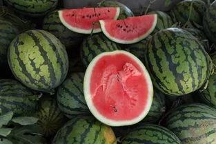 趴围墙上吃瓜,见证人间百态