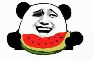 吃阿瓜,探寻独特风味与美食故事