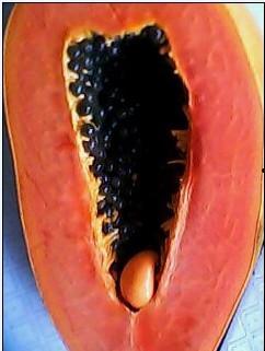 吃瓜内部圈子,内部秘闻大公开