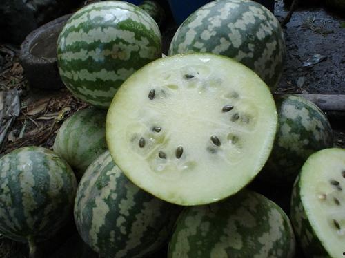 绿宝瓜能直接吃吗怎么吃,直接享用还是烹饪佳品？