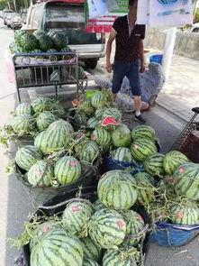 安徽师范吃瓜事件,校园舆论风波背后的真相探究