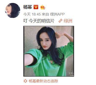 小麻瓜吃瓜群微博,揭秘娱乐圈幕后故事