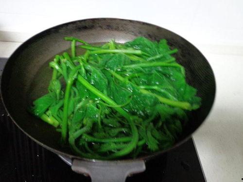 瓜尖尖怎么煮着吃,解锁美味新食尚