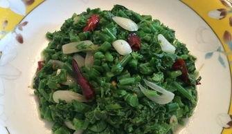 瓜尖尖怎么煮着吃,解锁美味新食尚