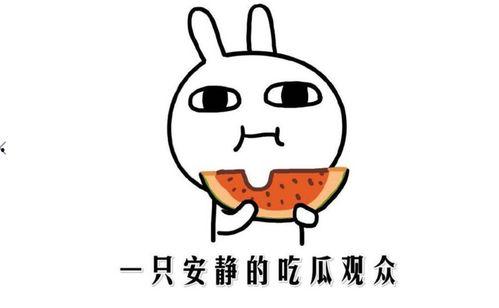 吃瓜吃瓜这是什么意思,揭秘“吃瓜吃瓜”背后的网络流行语奥秘