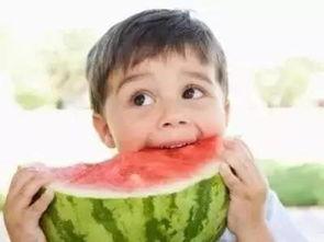 吃瓜重要性,揭秘网络时代下的舆论风向标