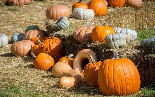 吃瓜一族,吃瓜一族带你领略明星幕后故事