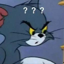 猫鼠大战吃瓜兔 第2张 猫鼠大战吃瓜兔 第2张