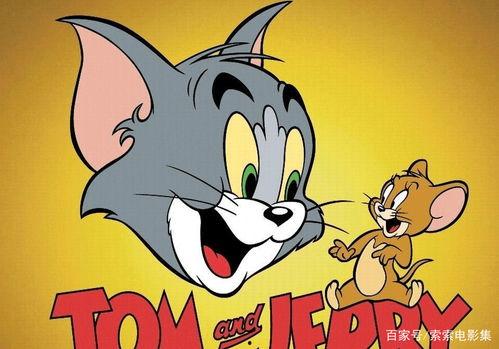 猫鼠大战吃瓜兔 第3张 猫鼠大战吃瓜兔 第3张