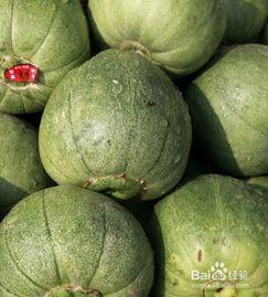 空腹吃瓜行吗  第2张