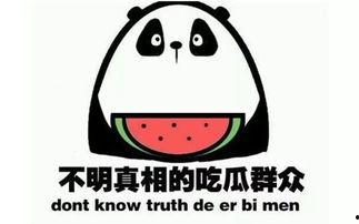 现在吃瓜群,网络时代的“全民侦探”现象  第2张