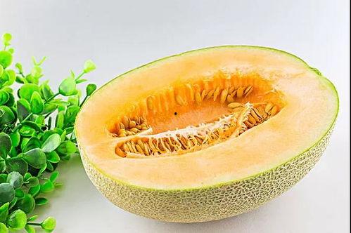 吃瓜多好不好  第3张