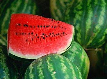 吃小瓜可以和芒果,夏日美味新体验  第3张