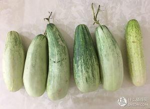 假装实际在吃瓜,一场“吃瓜”盛宴背后的真相与内幕