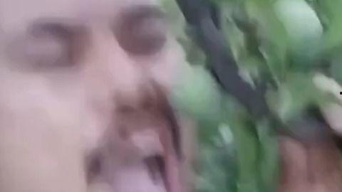 双井吃瓜视频,揭秘网络热传视频背后的故事