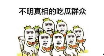 教练员吃瓜