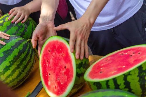 青竹湖学校吃瓜,揭秘校园里的“瓜田”风云  第3张