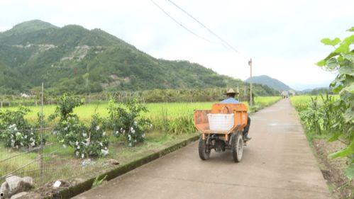丽水今日吃瓜  第2张