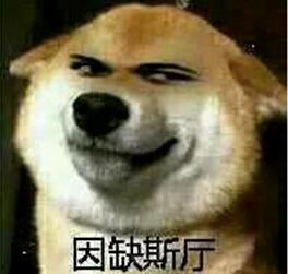 困了就睡吃瓜,日常生活的简单快乐之道  第3张